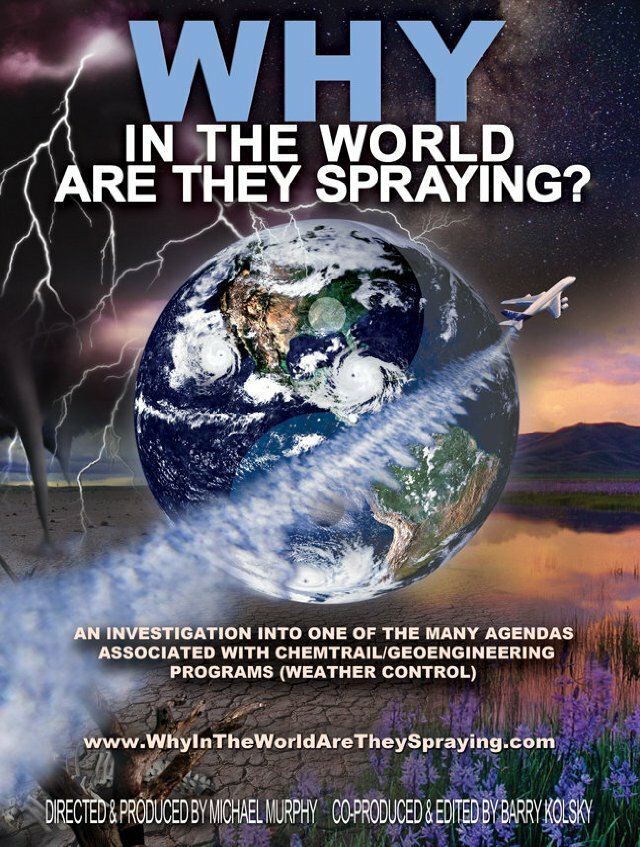 WHY in the World Are They Spraying? (2012) постер